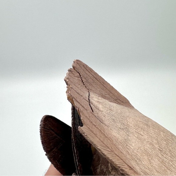 Handmade Folk Art Carved Wood Pintail Duck ERIK VANDE BOGART - Picture 8 of 10